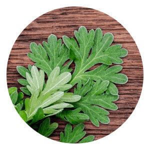 Herb 2 Image